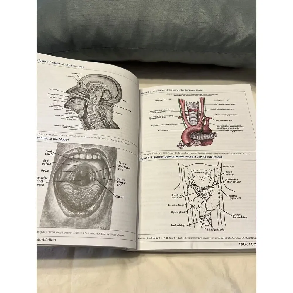 TNCC Trauma Nursing Core Coarse, Provider Manual 7th Edition (Paperback)